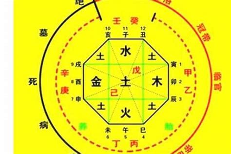 八字算名|生辰八字算命、五行喜用神查询（免费测算）